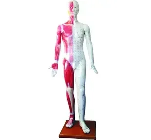 Guangzhou Haocheng Trade Co., Ltd. - Pharmaceuticals & Healthcare reference image 3