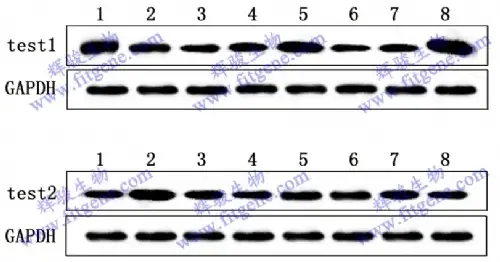 Guangzhou Huijun Biotechnology Co., Ltd. - Pharmaceuticals & Healthcare reference image 4