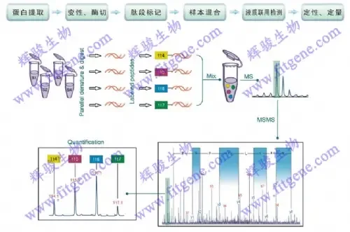 Guangzhou Huijing Biotechnology Co., Ltd. - Pharmaceuticals & Healthcare reference image 1