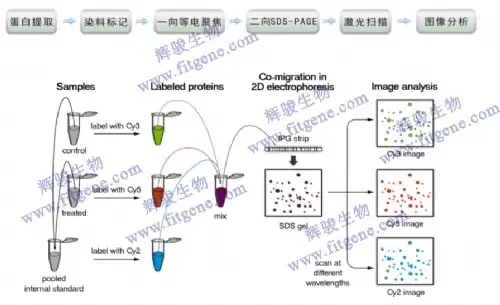 Guangzhou Huijing Biotechnology Co., Ltd. - Pharmaceuticals & Healthcare reference image 2