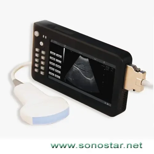 Guangzhou Suonoxing Technology Co., Ltd. - Pharmaceuticals & Healthcare reference image 7