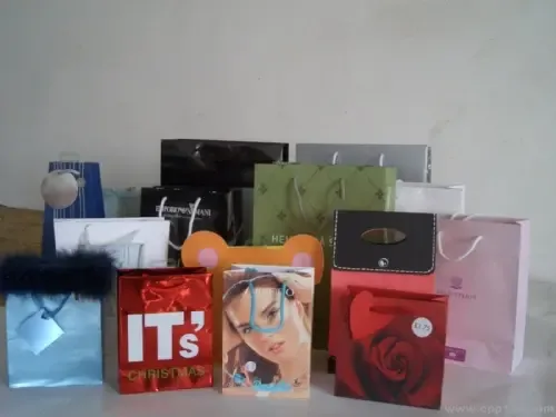 Guangzhou Shengxiang Bag Manufacturing Co., Ltd. - Packaging & Printing reference image 6