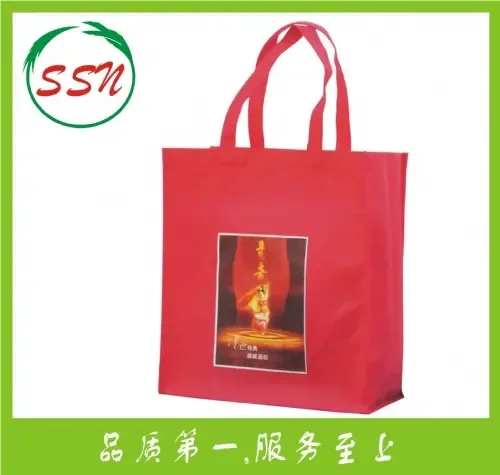 Guangzhou Dansheng Bag Manufacturing Co., Ltd. - Packaging & Printing reference image 4