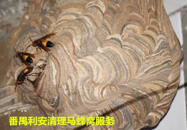 Guangzhou Panyu District Li'an Pest Control Service Department - Chemicals reference image 5