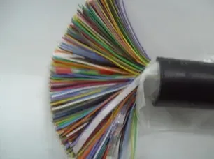 Yang Shulan - Electronics reference image 1