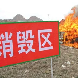 Guangdong Bianbao Renewable Resources Recycling Co., Ltd. - Electronics reference image 1